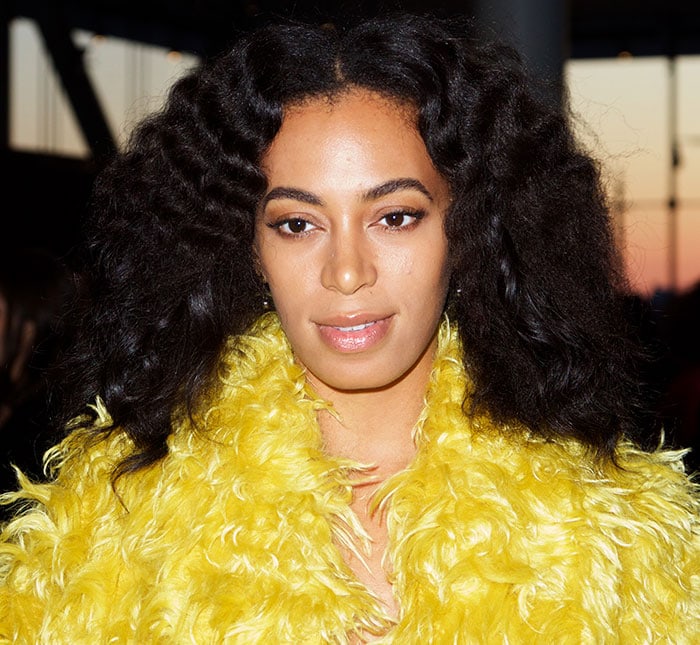 Solange Knowles appeared at the opening party of The Whitney Museum in New York City looking like one of Sesame Street&rsquo;s iconic characters, Big Bird